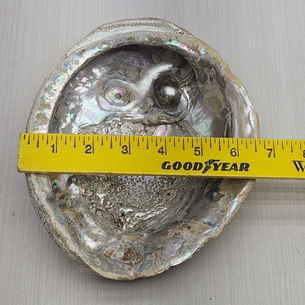 Large Natural Abalone Shell Iridescent Mother of‎ Pearl Smudging Bowl